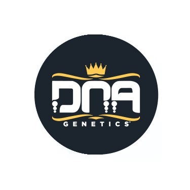 DNA Genetics auto